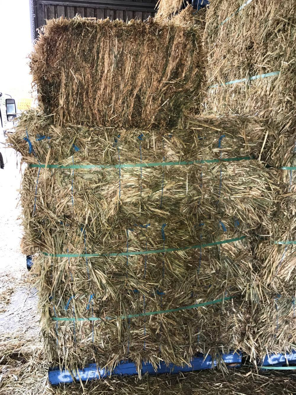 Hay, Bedding & Straw